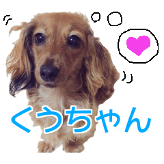 Lineスタンプ 動物 実写 の完全一覧 全95種類