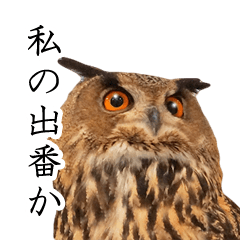 Lineスタンプ ミミズクの返答 40種類 1円